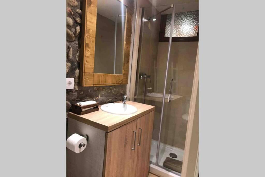 Puigcerda Centro. Acogedor Apartament En El Pueblo מראה חיצוני תמונה